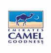 Emirates Camel